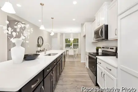New construction Single-Family house 124 W Springhouse Ct, Statesville, NC 28625 plan The Tate - image