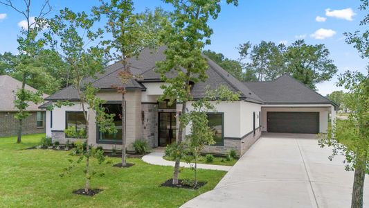 New construction Single-Family house 247 County Rd 66111, Dayton, TX 77535 - image