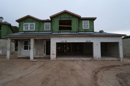 New construction Single-Family house 20131 Oriana Loop, Land O' Lakes, FL 34638 Sonoma II- photo 28 28