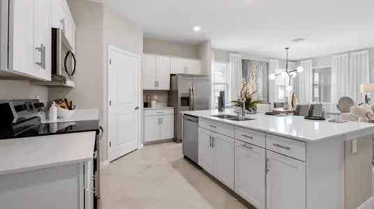 New construction Single-Family house 13377 Turnleaf Blvd, Punta Gorda, FL 33955 plan Monte Carlo II - image