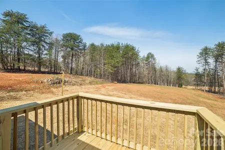 New construction Single-Family house 5350 Hope Rd, Vale, NC 28168 - image