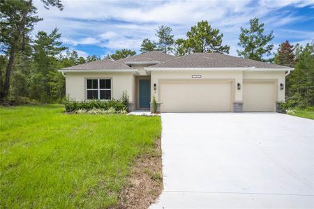 New construction Single-Family house 3 Cosmos Ct W, Homosassa, FL 34446 - image