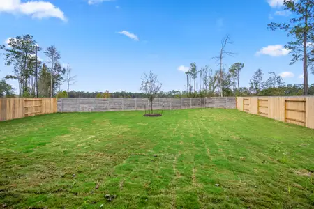 New construction Single-Family house 17206 Blooming Suzans Ln, Conroe, TX 77302 plan Bluebell 3392 - image 3