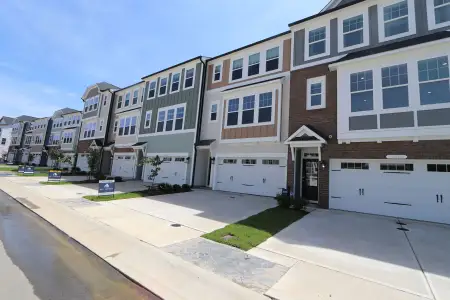 New construction Townhouse house 10004 Secluded Garden Dr, Apex, NC 27523 plan Buckingham - image