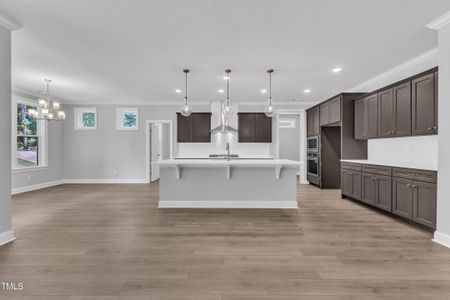 New construction Single-Family house 9164 Dupree Meadow Dr, Unit 14, Angier, NC 27501 - image 14