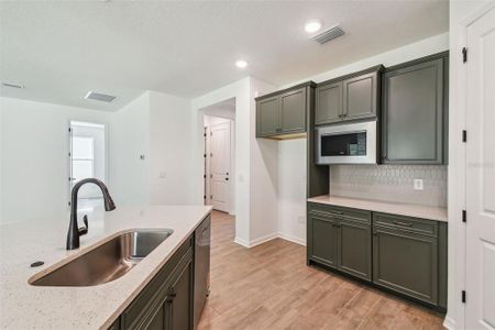 New construction Single-Family house 19591 Fort King Run, Brooksville, FL 34601 plan Elmwood - image 9