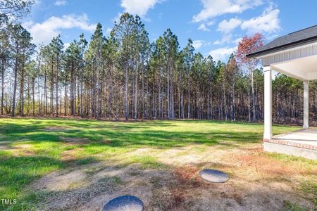 New construction Single-Family house 32 Bonnybrook Ct, Selma, NC 27576 null- photo 21 21