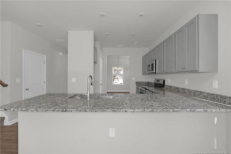 New construction Single-Family house 340 Double Barrel St, Lillington, NC 27546 Caldwell - photo 6 6