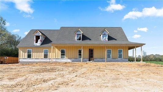 New construction Single-Family house 100 Flat Rock Road, Villa Rica, GA 30180 - photo 0