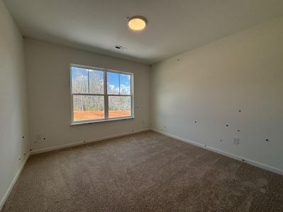 New construction Single-Family house 118 Brayden Run, Woodruff, SC 29388 plan Cary - image 14