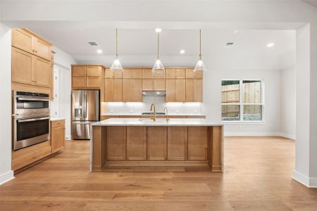 New construction Single-Family house 17225 Alta Madera Ln, Pflugerville, TX 78660 plan Palmer - image 8