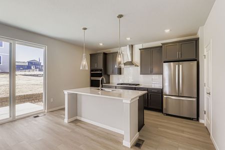 New construction Single-Family house 13763 Daffodil Wy, Parker, CO 80108 plan Silverthorne - image 6