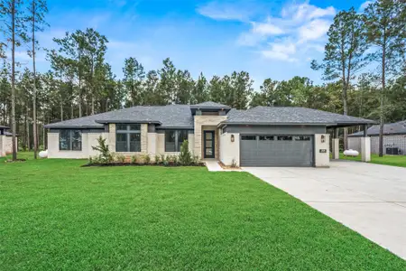New construction Single-Family house 13656 Armstrong St, Conroe, TX 77303 - image