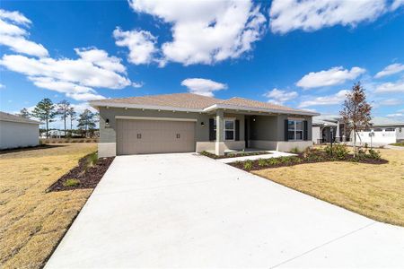 New construction Single-Family house 10140 Sw 106Th Cir, Ocala, FL 34481 plan Ariana - image