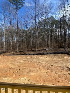 New construction Single-Family house 80 Valebrook Ct, Youngsville, NC 27596 Cooper- photo 18 18