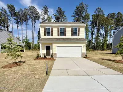 New construction Single-Family house 1375 Pond Overlook Dr, Nashville, NC 27856 - image