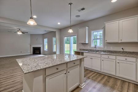 New construction Single-Family house 312 Suncrest Ct, Augusta, GA 30906 - image
