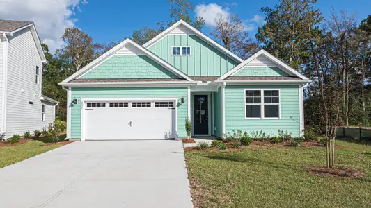 New construction Single-Family house 1164 Indigo Bunting Dr, Leland, NC 28451 plan Bradford - image