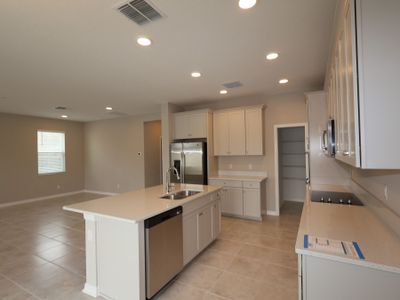 New construction Single-Family house 3189 Fall Harvest Dr, Zephyrhills, FL 33540 plan Castellana - image 3
