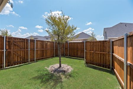 Arbors at Legacy Hills by Mattamy Homes in Celina - image 5