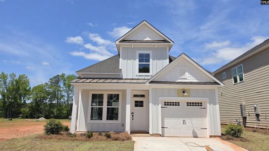 New construction Single-Family house 328 Conductor (Lot 56) Ln, Irmo, SC 29063 plan Briarwood II - image