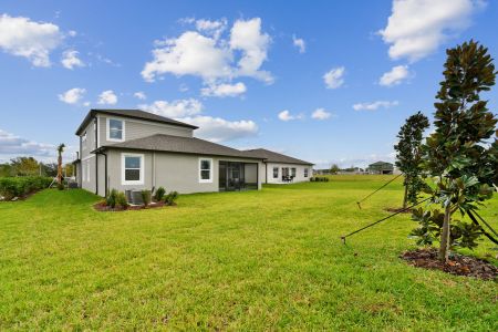 New construction Single-Family house 11855 Hilltop Farms Dr, Dade City, FL 33525 Picasso Bonus- photo 82 82