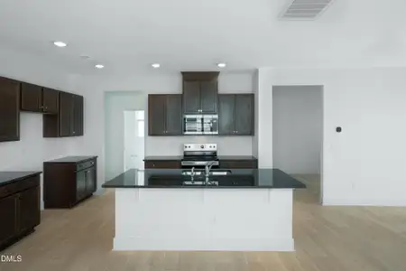 New construction Single-Family house 24 Cypress Moss Ct, Lillington, NC 27546 plan Summit - image 6