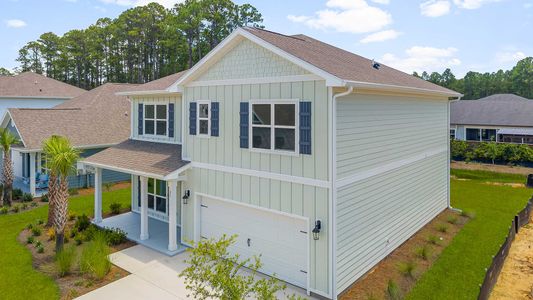 New construction Single-Family house 85 Nellie Preserve Ln, Santa Rosa Beach, FL 32459 plan Carol - image