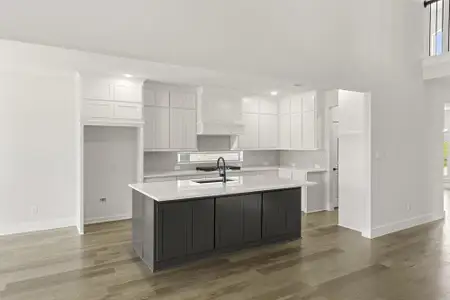 New construction Single-Family house 13709 Benimodo Dr, Little Elm, TX 75068 plan Caroline 2F - image