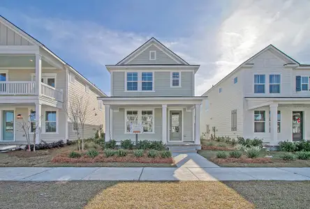New construction Single-Family house 715 Rumbling Leaf Ln, Summerville, SC 29486 - image