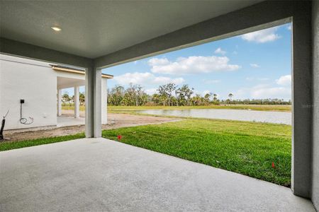 New construction Single-Family house 10168 Hidden Hammock Lp, Parrish, FL 34219 plan Duval - image