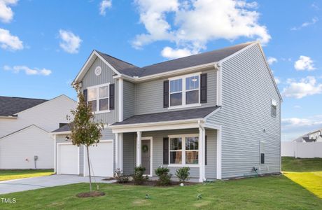 New construction Single-Family house 169 Horseshoe Pl, Unit 55, Angier, NC 27501 - image