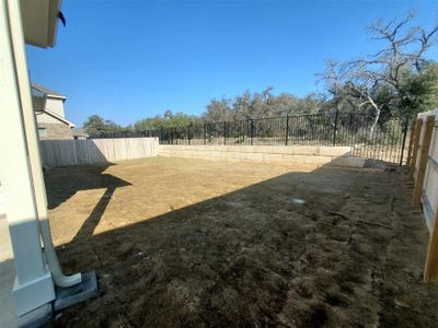 New construction Single-Family house 233 Cactus Tower Path, Georgetown, TX 78628 Premier Series - Magnolia- photo 6 6