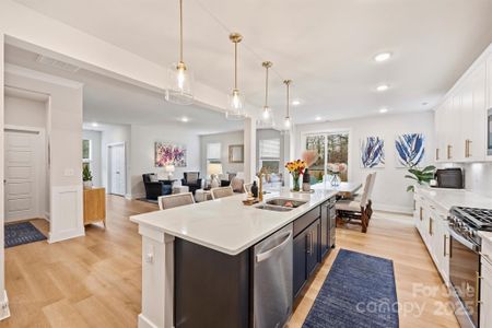 New construction Single-Family house 11009 N Commons Dr, Charlotte, NC 28213 - image 11