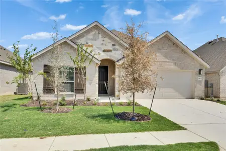 New construction Single-Family house 14313 Duckworth Trce, Manor, TX 78653 plan Juniper - image