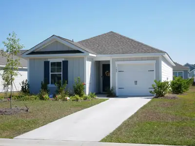 New construction Single-Family house 125 Congaree Ct, Santee, SC 29142 - image