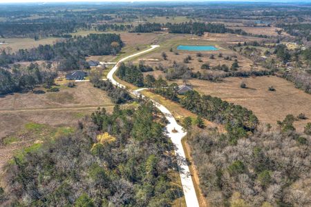 New construction Single-Family house 189 Homestead Hill Rd, New Waverly, TX 77358 - image 5