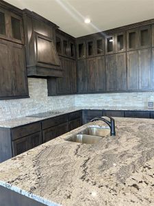 New construction Single-Family house 411 Solo Ridge Dr, Waxahachie, TX 75167 null- photo 21 21