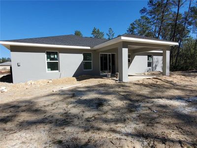 New construction Single-Family house 14 Sequoia Trail Trak, Ocklawaha, FL 32179 - image