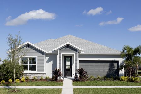 New construction Single-Family house 5346 Wolf Creek Dr, Apollo Beach, FL 33572 plan The Rosbach - image