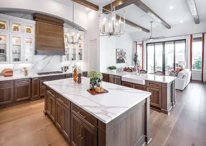 New construction Single-Family house 10402 Vineyard Shore Dr, Missouri City, TX 77459 plan 216 - image 9