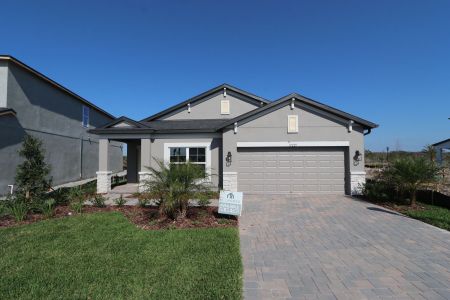 New construction Single-Family house 31229 Denham Ridge Ln, Wesley Chapel, FL 33545 Newport II- photo 115 115