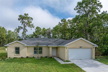 New construction Single-Family house 6189 Sw 134Th Street, Ocala, FL 34473 - photo 0