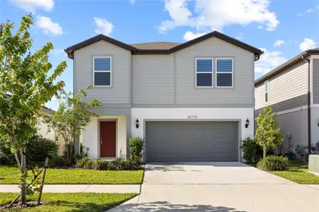 New construction Single-Family house 20770 Balsam Hill Rd, Land O' Lakes, FL 34638 - image