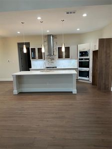 Kitchen with sink, hanging light fixtures, decorative backsplash, a kitchen island with sink, and exhaust hood