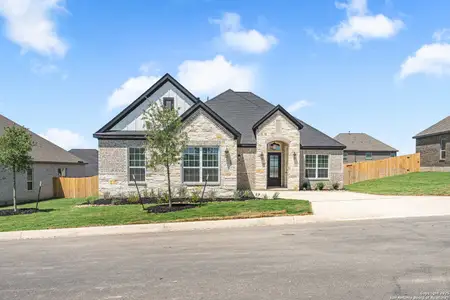 New construction Single-Family house 305 Lawrence Dr, Castroville, TX 78009 - image