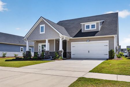New construction Single-Family house 1359 Locals St, Summerville, SC 29485 plan Collins - image