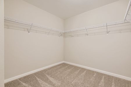 New construction Single-Family house 13832 Honey Hush Trl, Parker, CO 80108 plan Braeburn - image 18