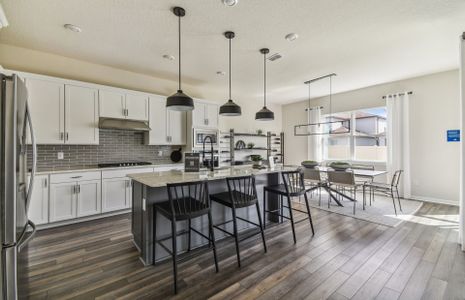 Vida's Way by Pulte Homes in Zephyrhills - photo 33 33