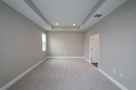 New construction Single-Family house 31229 Denham Ridge Ln, Wesley Chapel, FL 33545 Newport II- photo 93 93